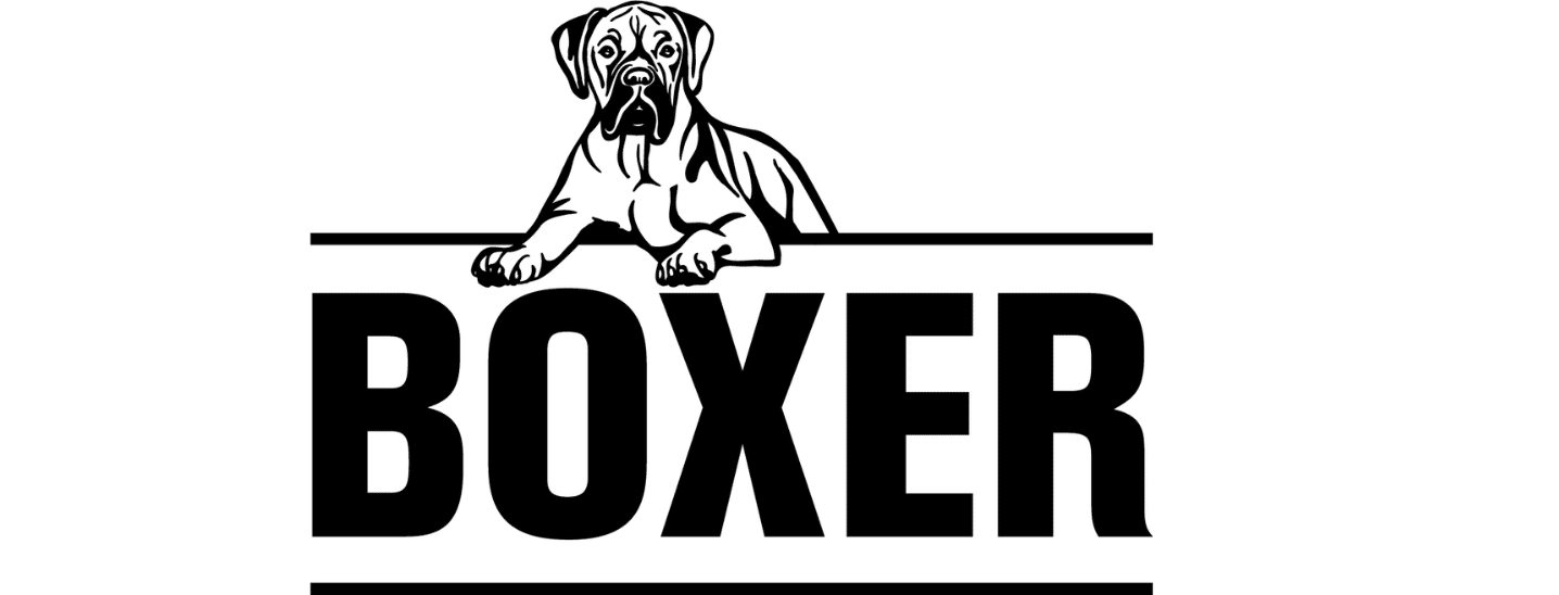 boxer